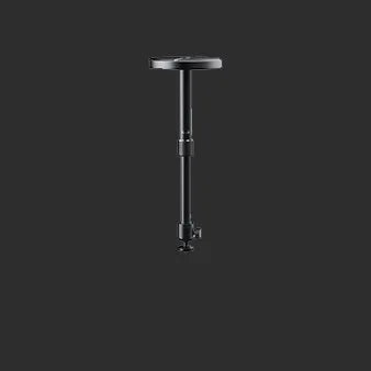 Ceiling Mounts