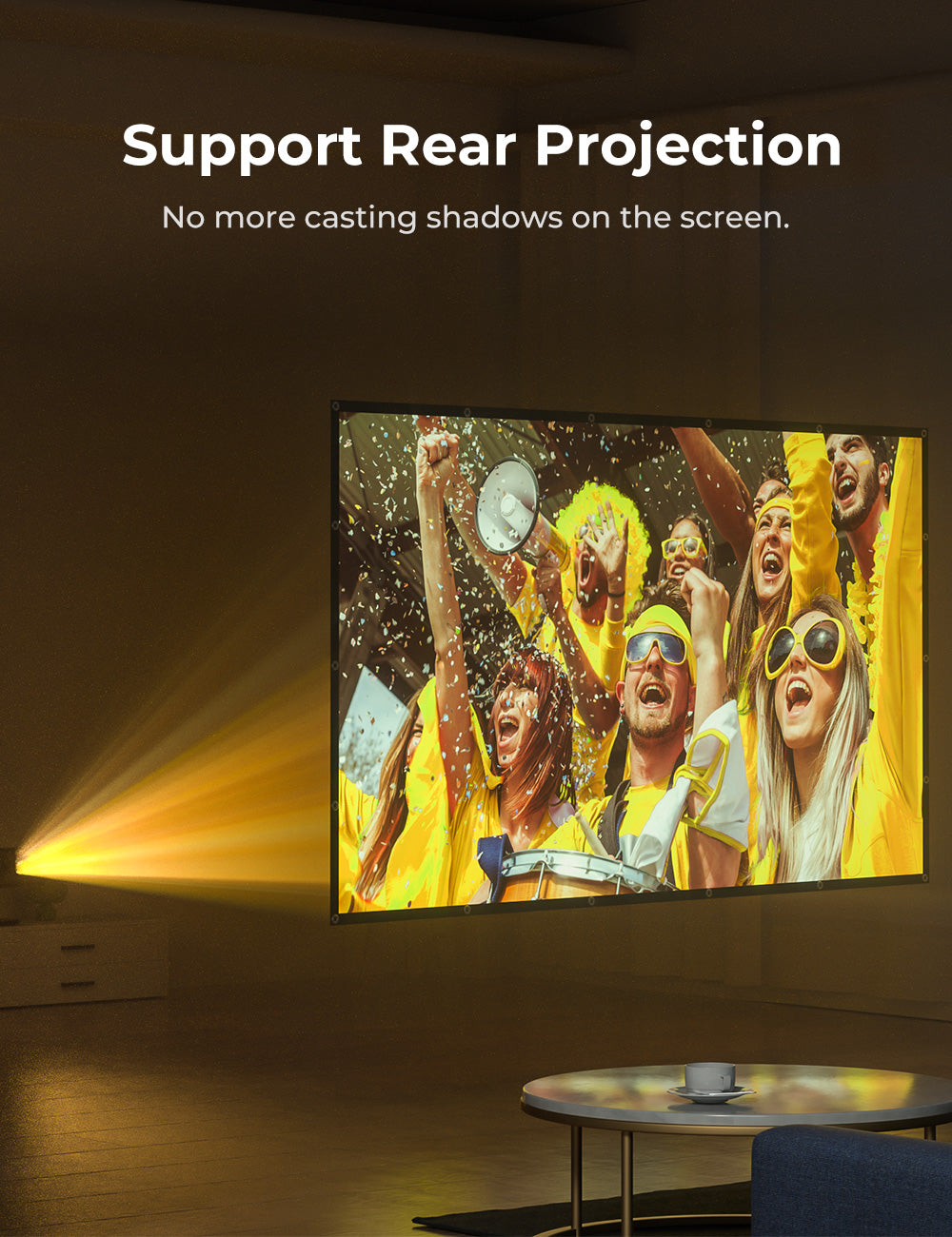 rear projection screen